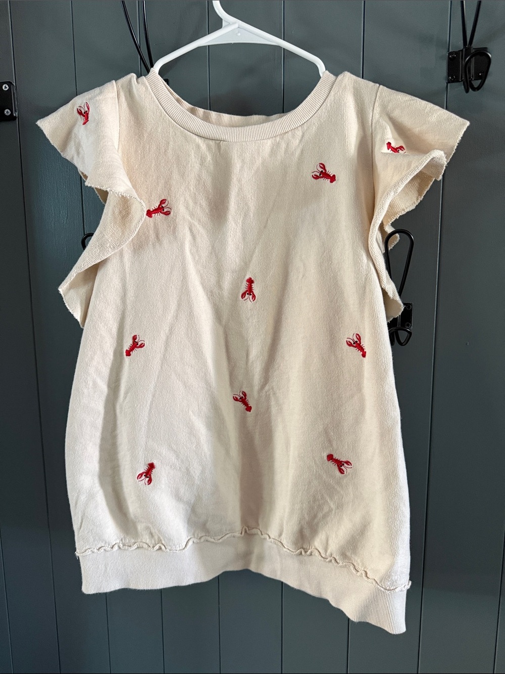 Anthropologie Cream Knit Dress with Red Embroidered Motifs